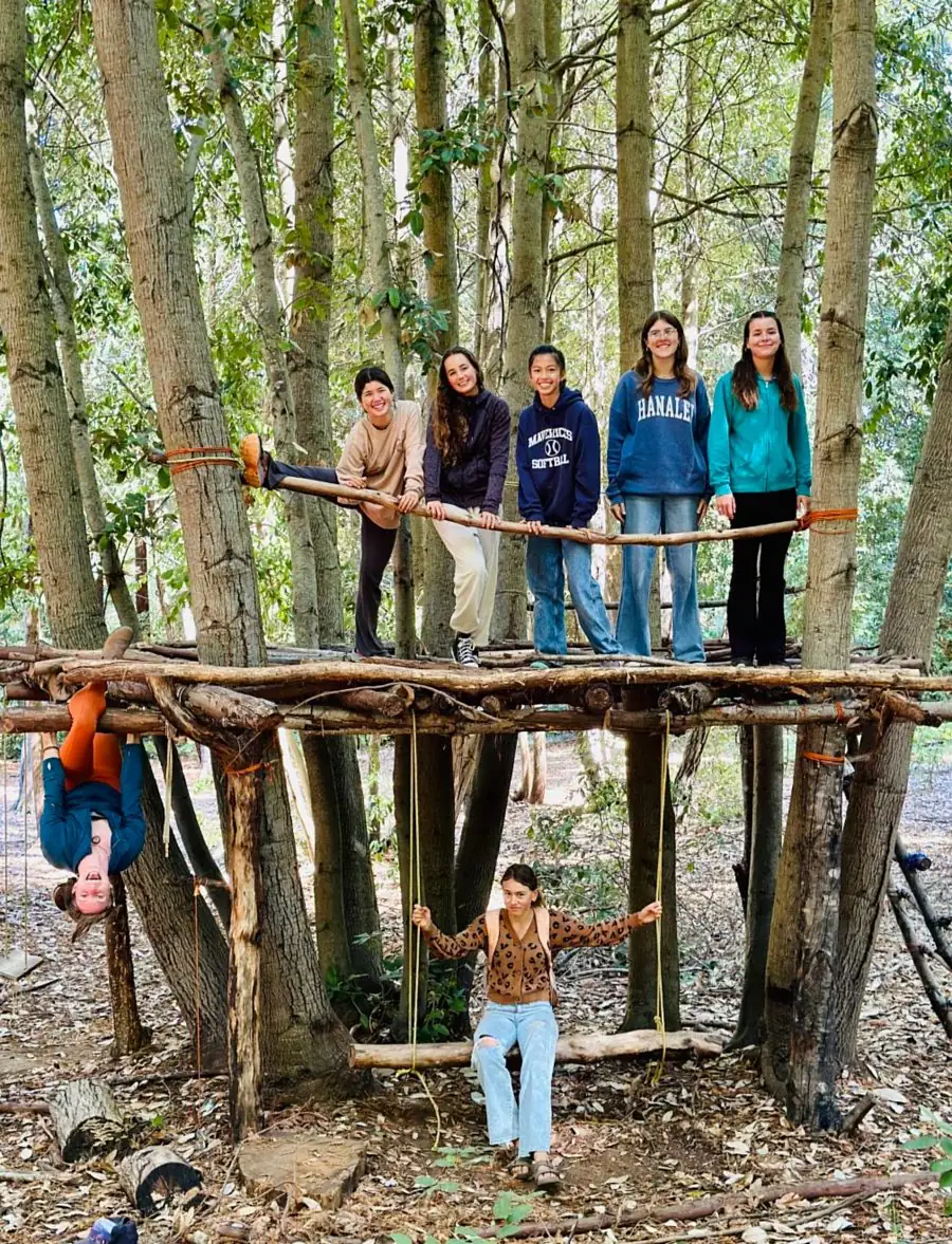 A platform the girls built by hand among the trees