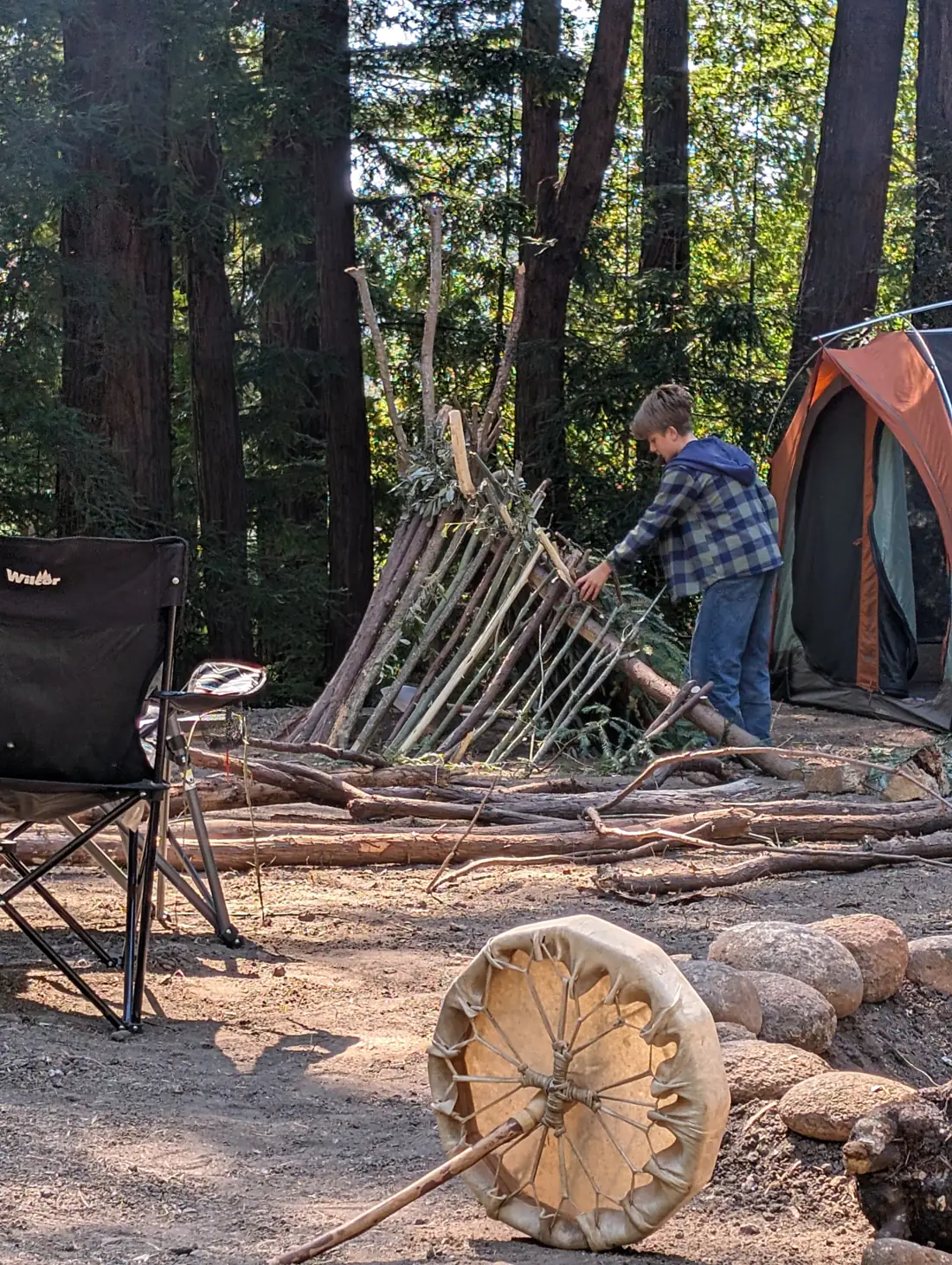 A boy builds a shelter from branches among the redwoods, a hand drum resting on the ground