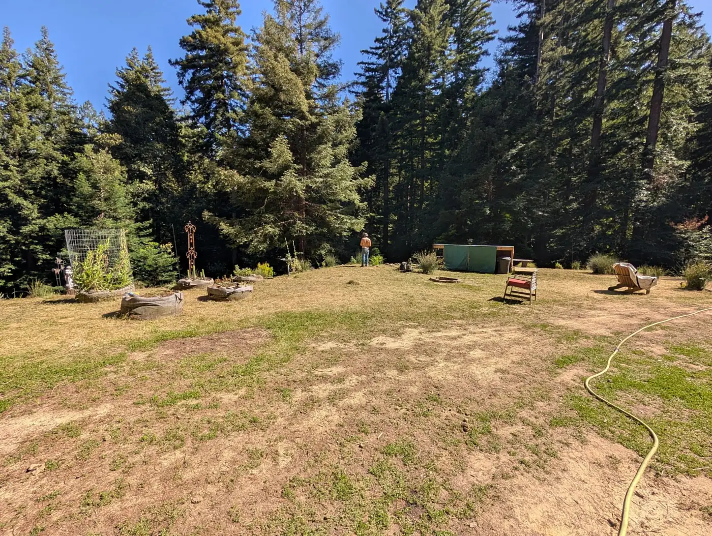 A fire circle in a meadow ringed by redwoods