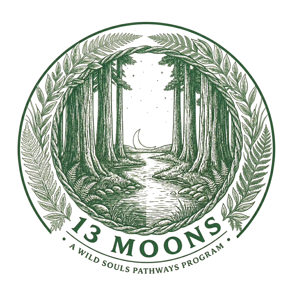 13 Moons