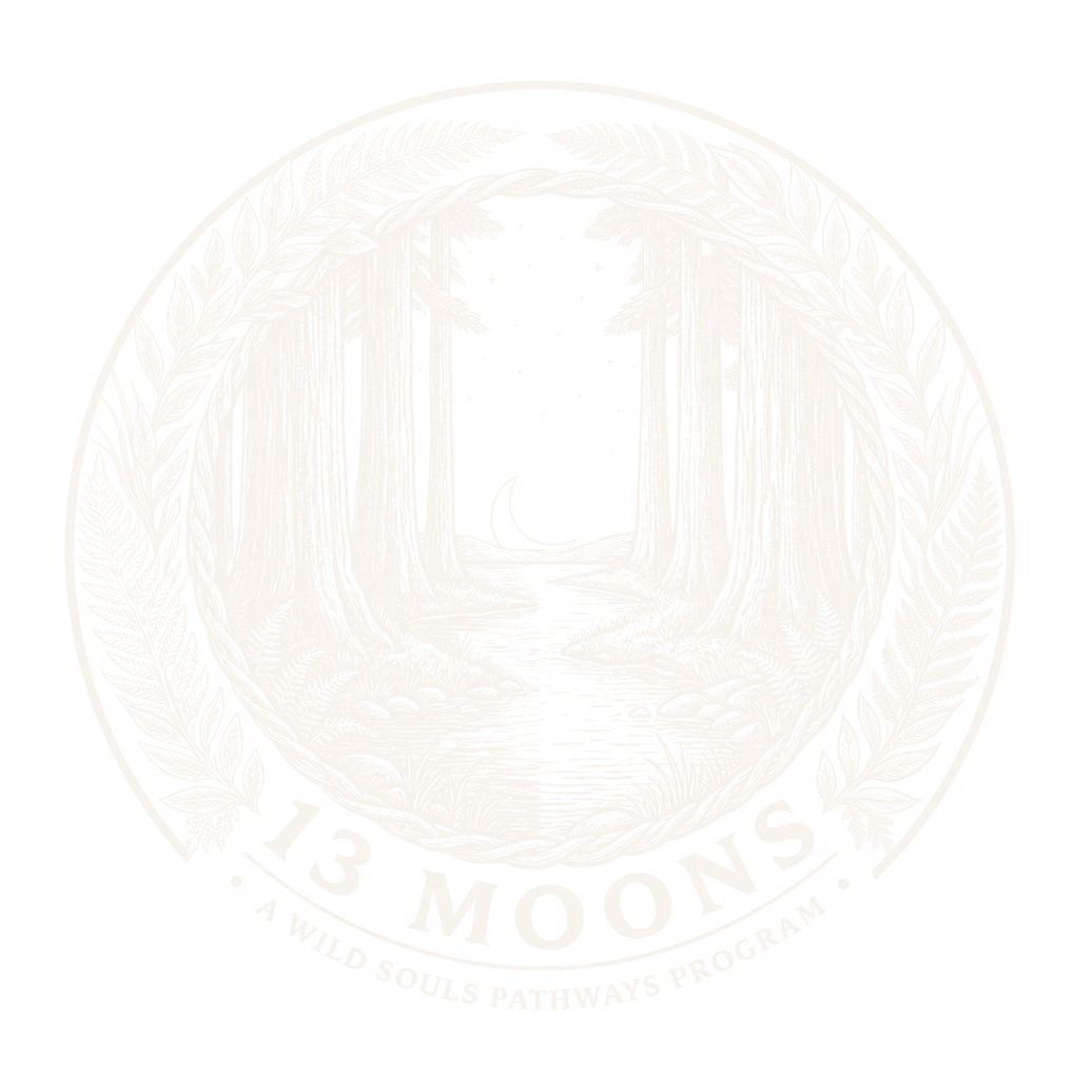13 Moons